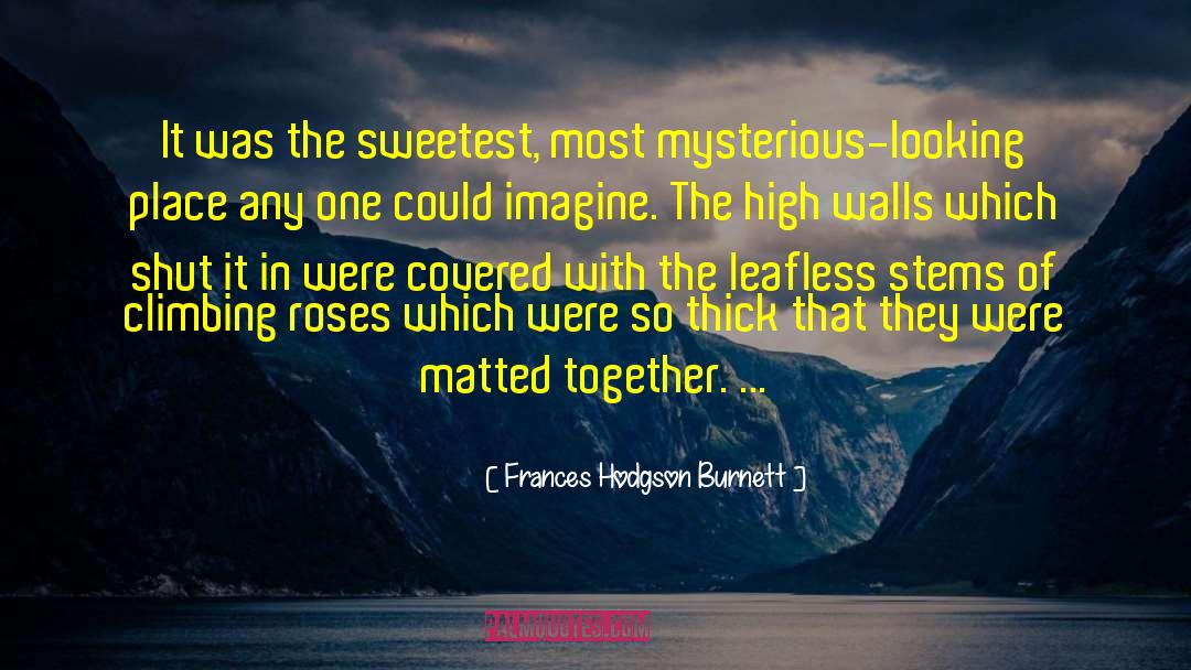 The Mysterious Stranger quotes by Frances Hodgson Burnett