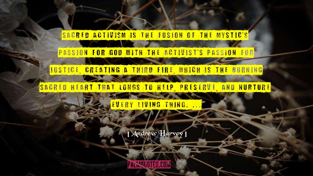 The Mystics Of Muelenburg quotes by Andrew Harvey