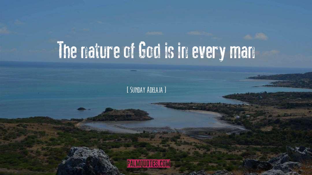 The Nature Of God quotes by Sunday Adelaja