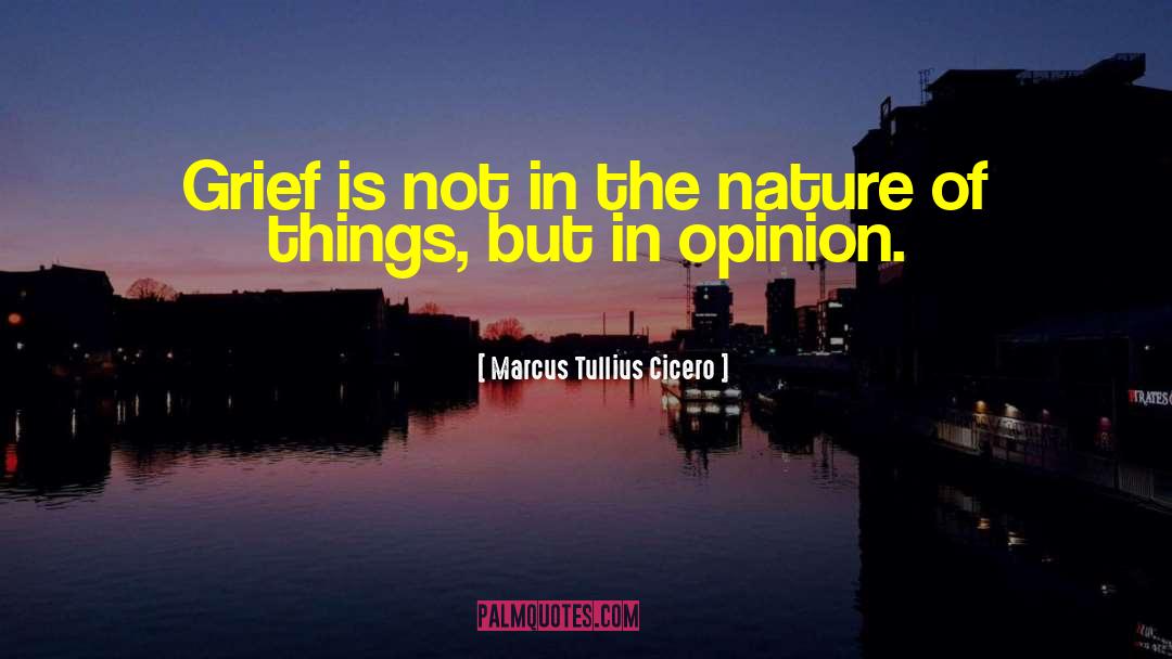 The Nature Of Things quotes by Marcus Tullius Cicero