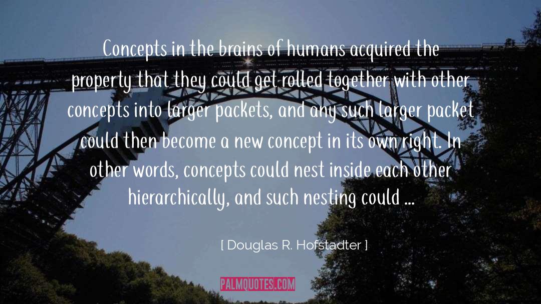 The Nesting Dolls quotes by Douglas R. Hofstadter