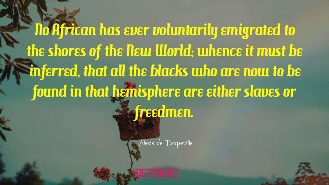 The New African Man quotes by Alexis De Tocqueville