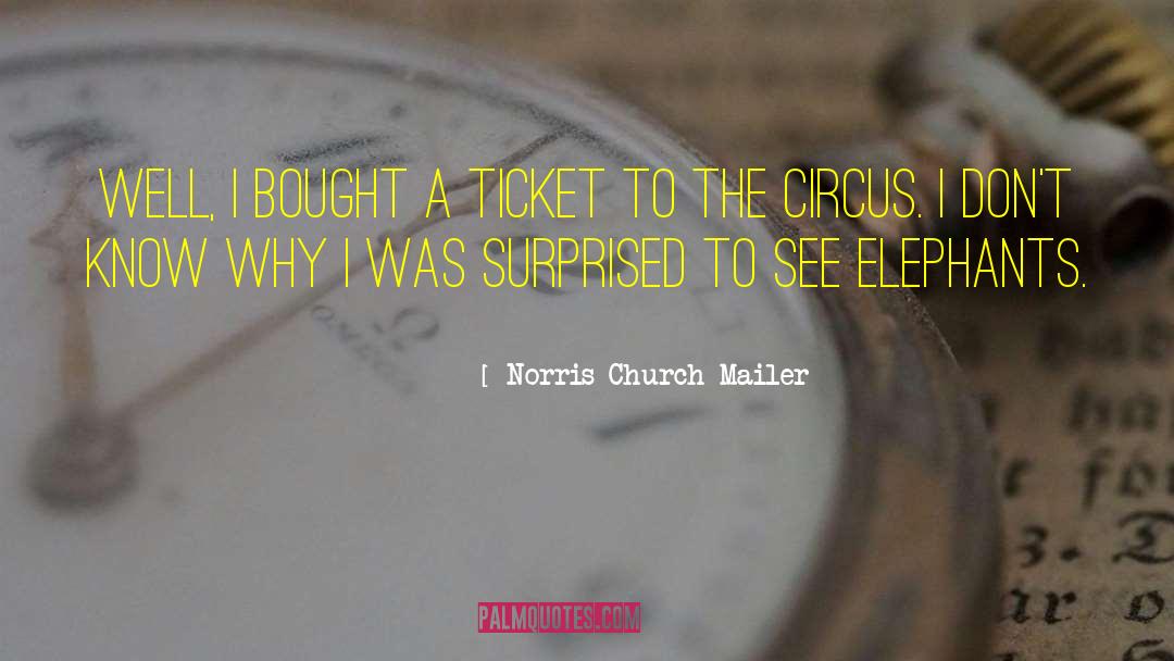 The Night Circus Book quotes by Norris Church Mailer