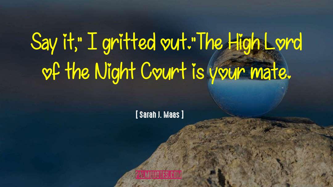The Night Court quotes by Sarah J. Maas
