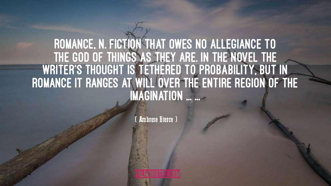 The Novel quotes by Ambrose Bierce