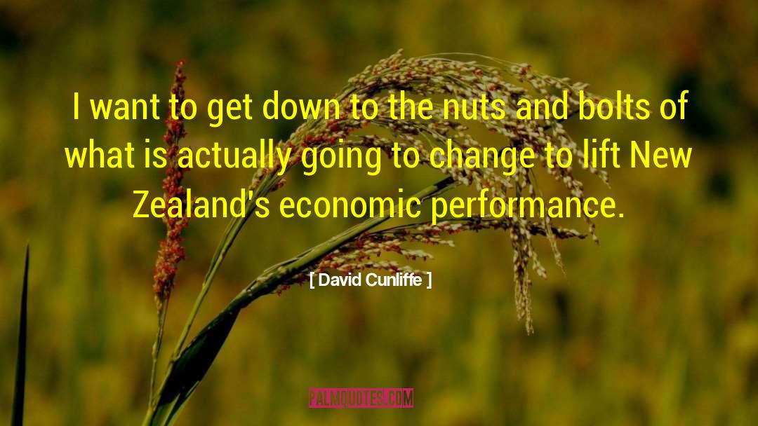 The Nuts And Bolts quotes by David Cunliffe