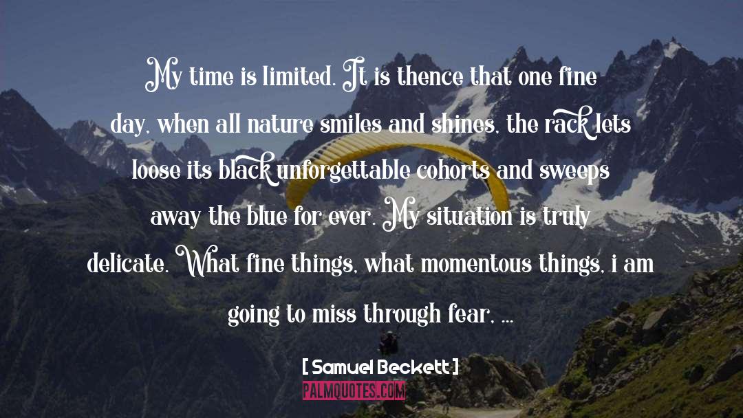 The Old Things quotes by Samuel Beckett