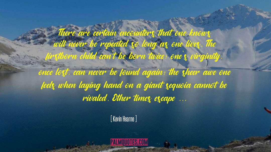 The Ones We Leave Behind quotes by Kevin Hearne