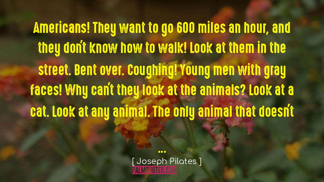 The Only Animal quotes by Joseph Pilates