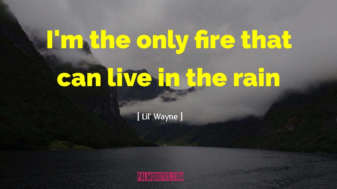 The Only Story quotes by Lil' Wayne