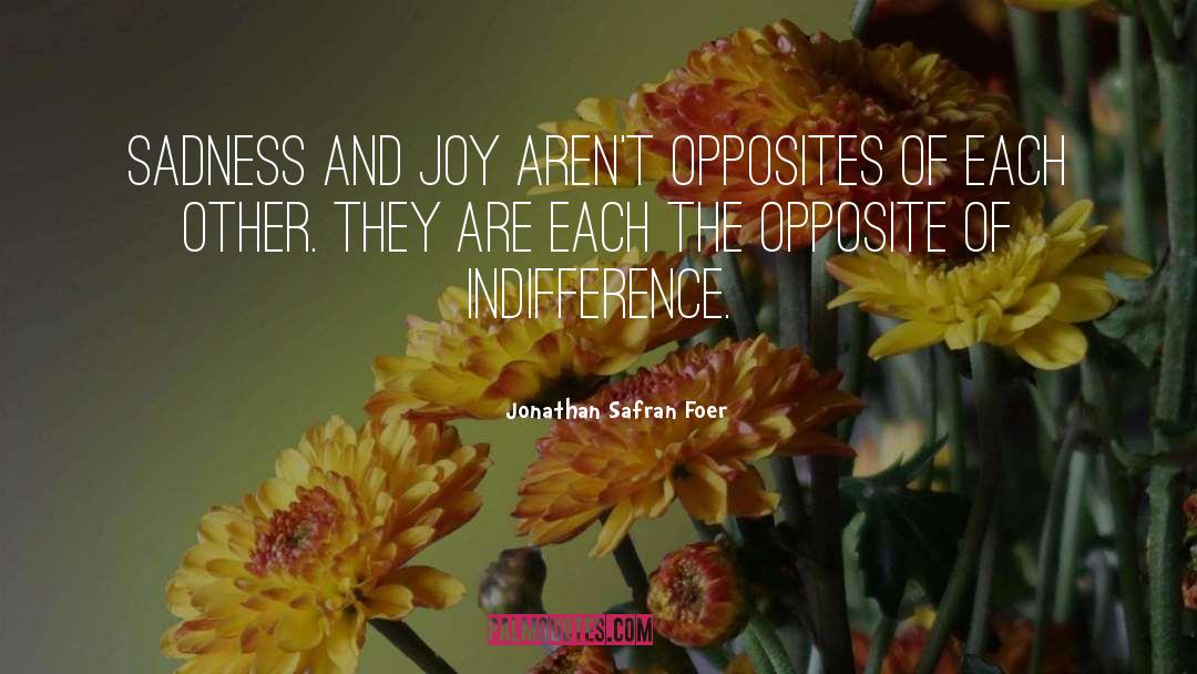 The Opposite Of Loneliness quotes by Jonathan Safran Foer