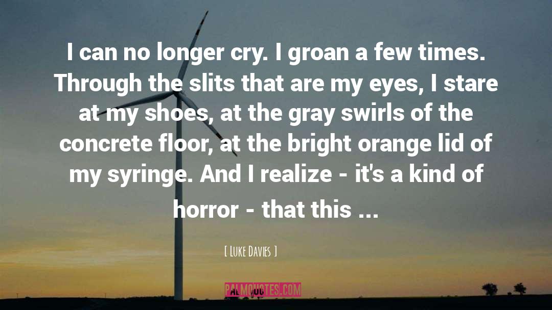 The Orange Girl quotes by Luke Davies