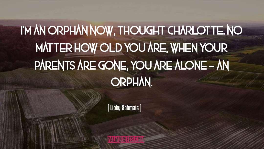 The Orphan quotes by Libby Schmais