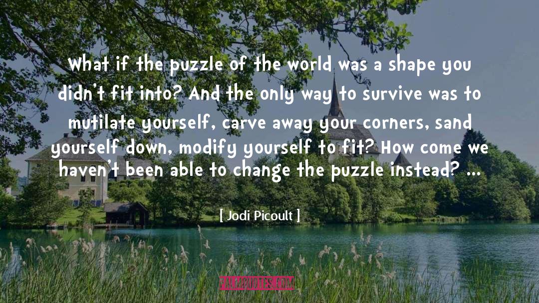 The Padre Puzzle quotes by Jodi Picoult