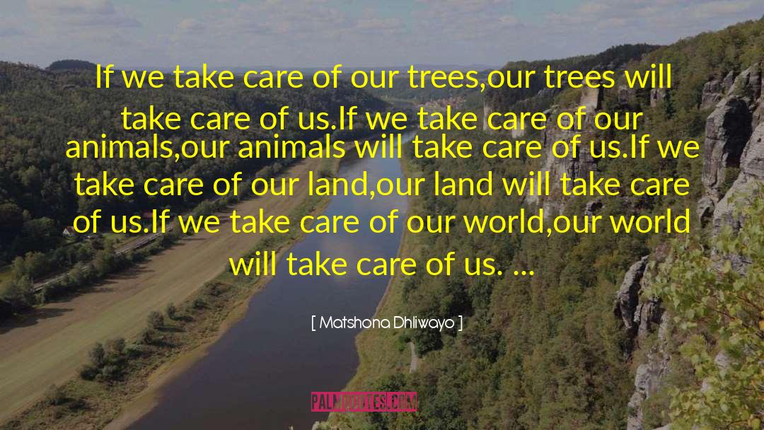 The Parable Of Land Of Trees quotes by Matshona Dhliwayo