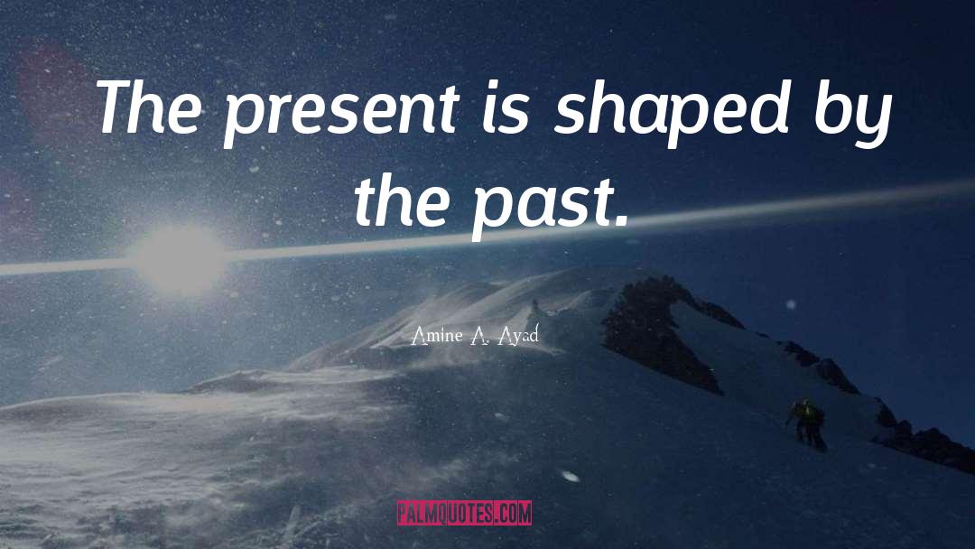 The Past quotes by Amine A. Ayad