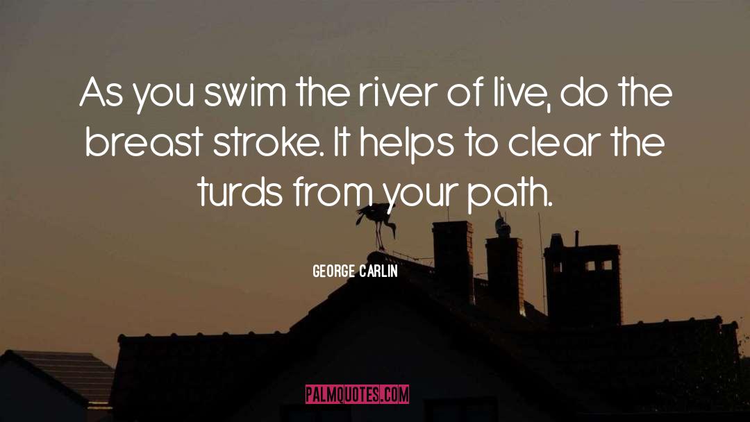 The Path Of Meditation quotes by George Carlin