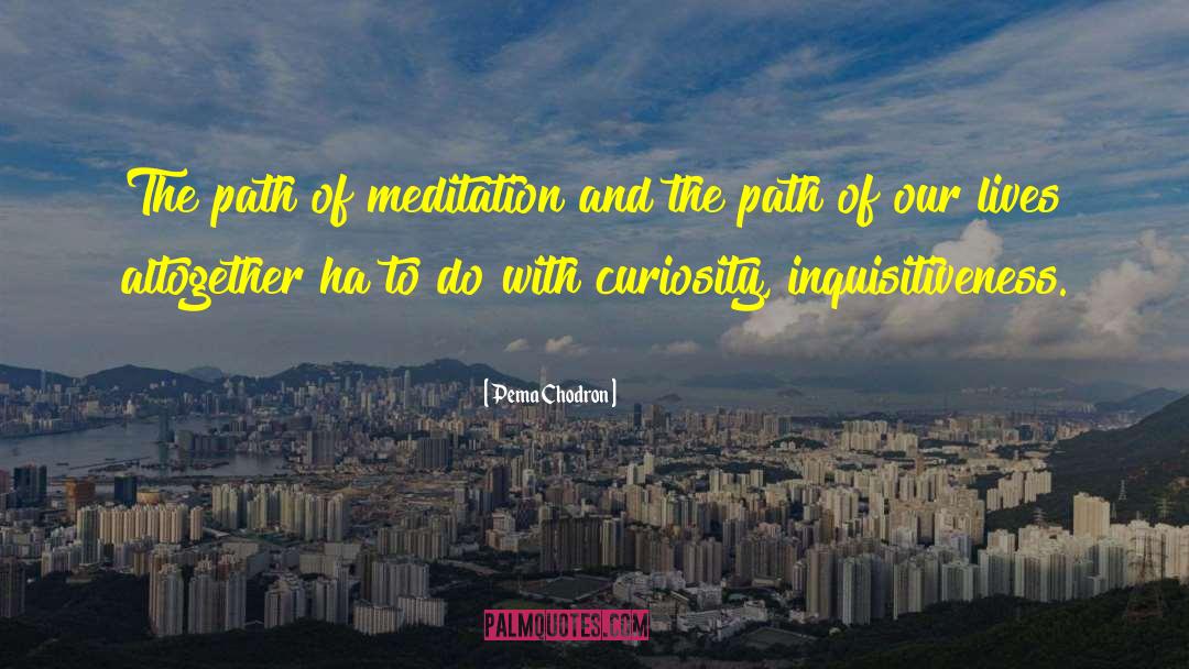 The Path Of Meditation quotes by Pema Chodron