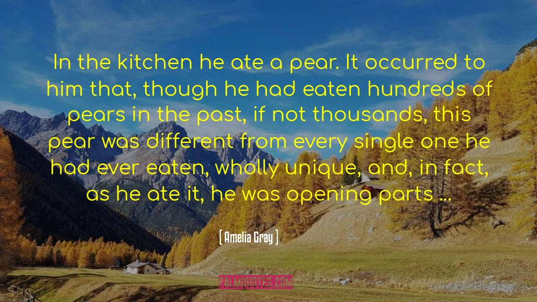 The Pear Shaped Man quotes by Amelia Gray