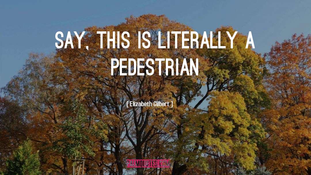 The Pedestrian quotes by Elizabeth Gilbert
