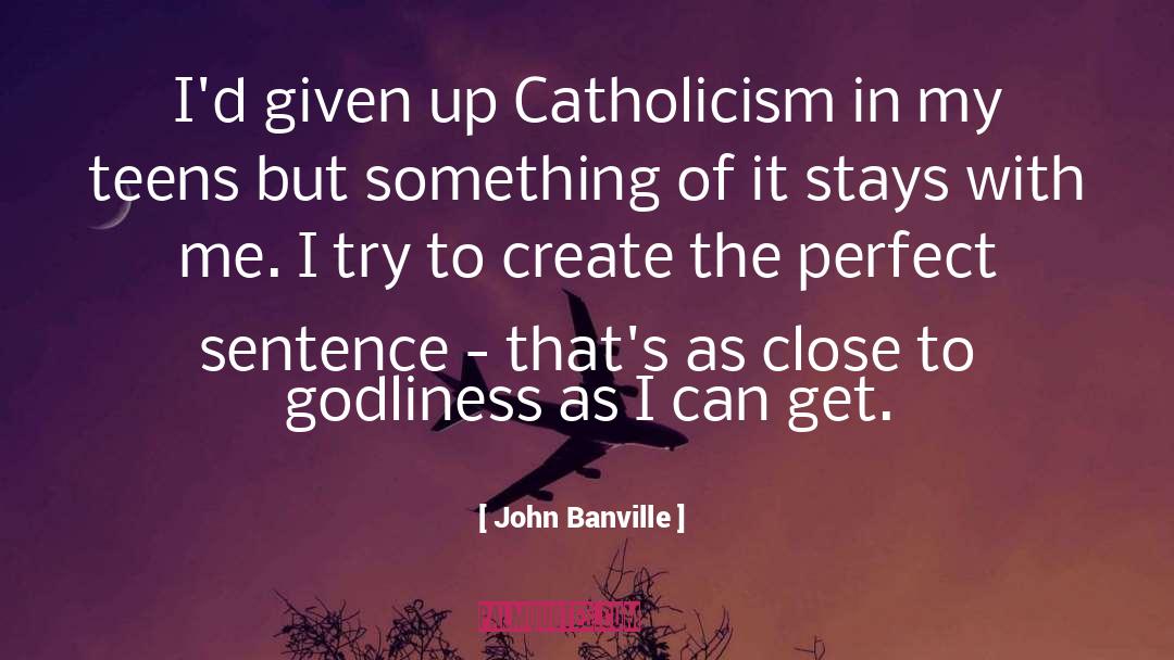 The Perfect Sentence quotes by John Banville
