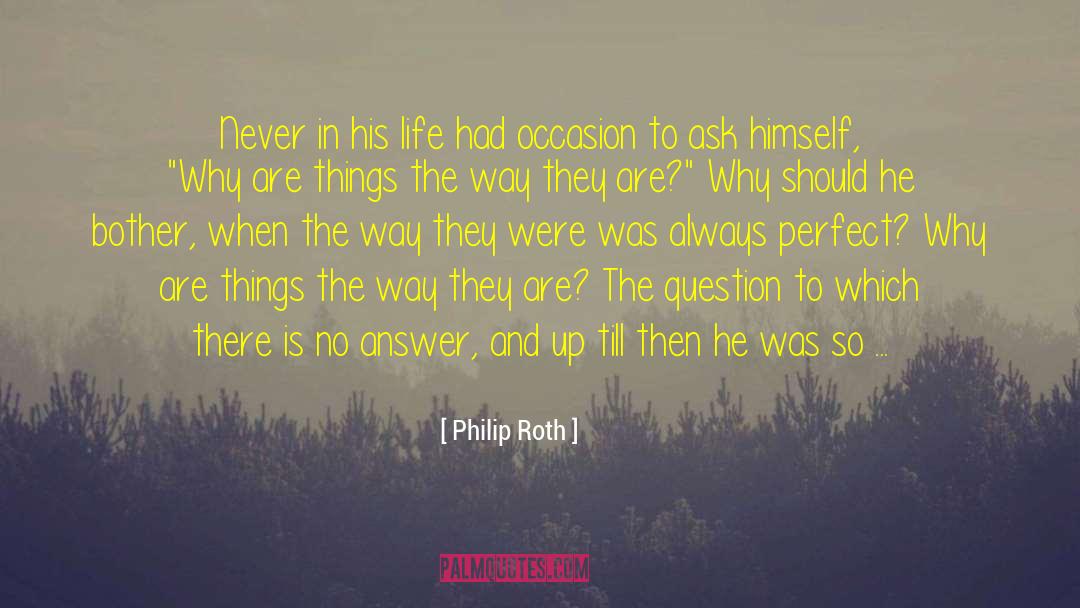 The Perfect Woman quotes by Philip Roth