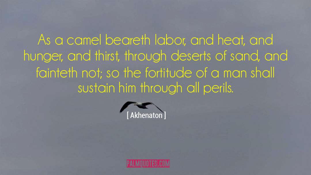 The Perils Of Pleasure quotes by Akhenaton