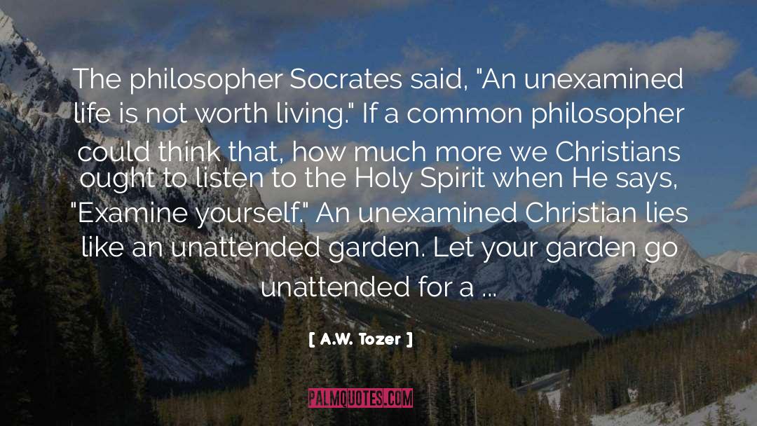 The Philosopher quotes by A.W. Tozer