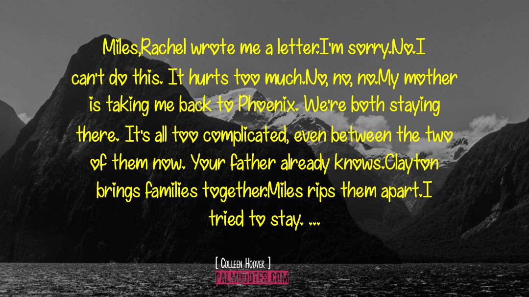 The Phoenix Program quotes by Colleen Hoover