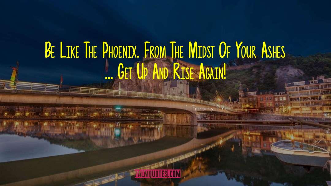 The Phoenix Transformed quotes by Timothy Pina