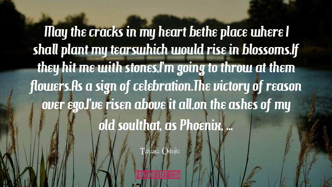 The Phoenix Unchained quotes by Tatjana Ostojic
