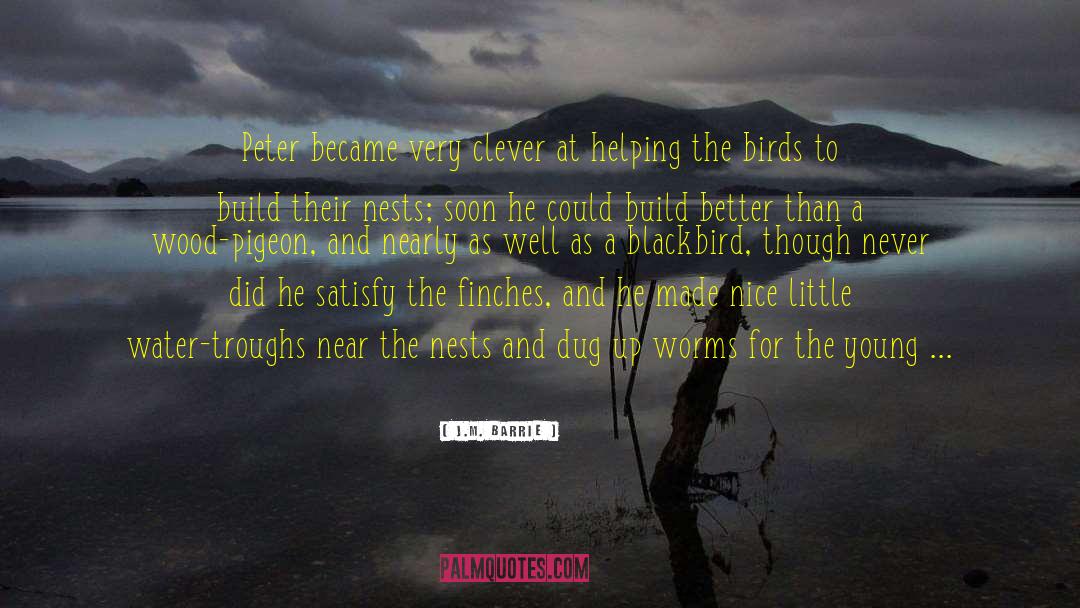 The Pigeon Letters quotes by J.M. Barrie