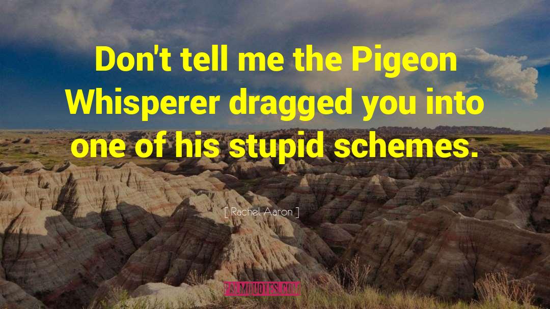 The Pigeon quotes by Rachel Aaron