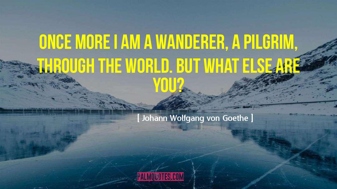 The Pilgrim Principle quotes by Johann Wolfgang Von Goethe