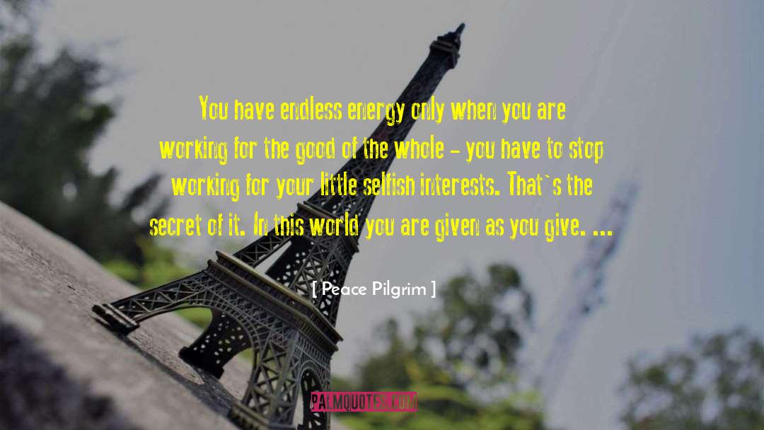 The Pilgrim Principle quotes by Peace Pilgrim