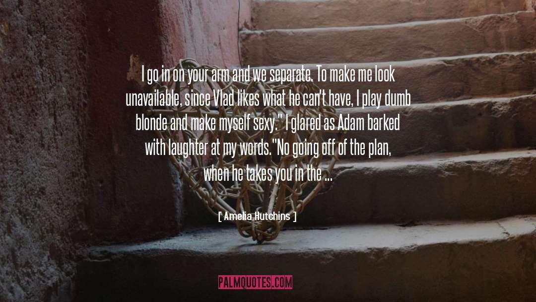 The Plan quotes by Amelia Hutchins