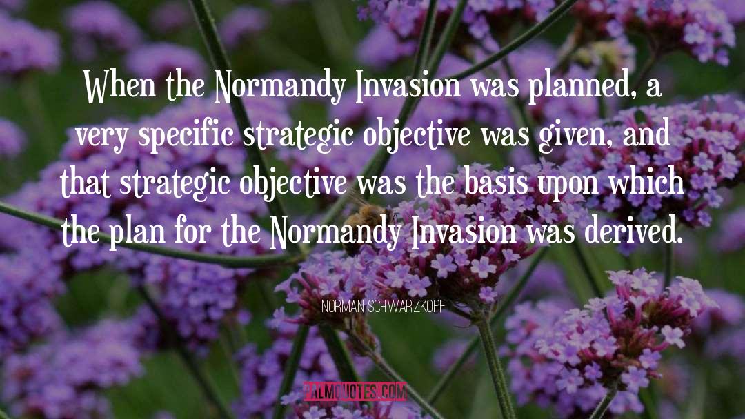 The Plan quotes by Norman Schwarzkopf