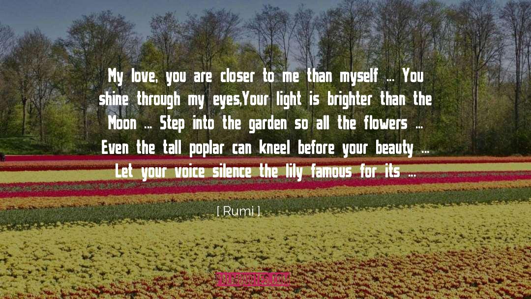 The Poplar Field quotes by Rumi