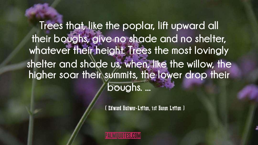 The Poplar Field quotes by Edward Bulwer-Lytton, 1st Baron Lytton