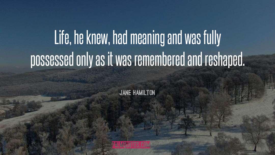 The Possessed quotes by Jane Hamilton