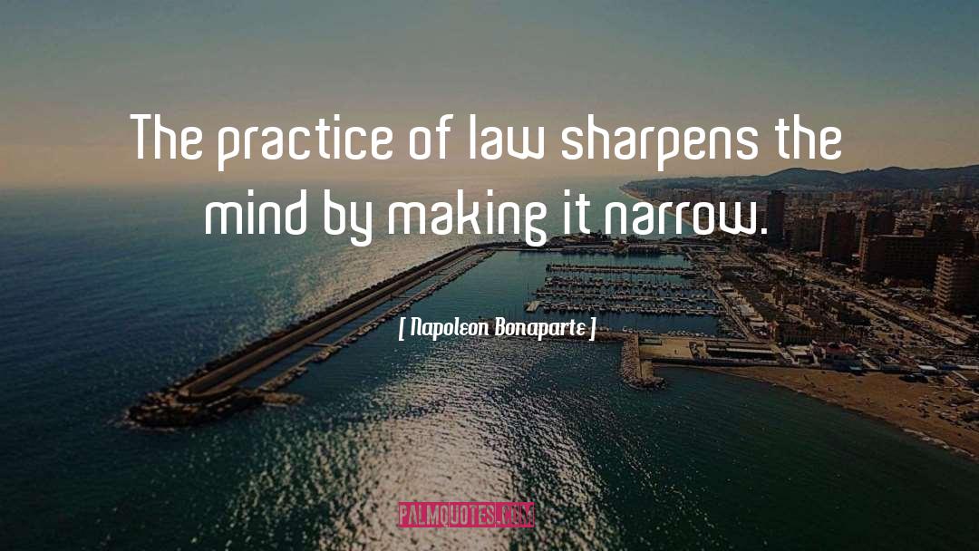 The Practice Of Law quotes by Napoleon Bonaparte
