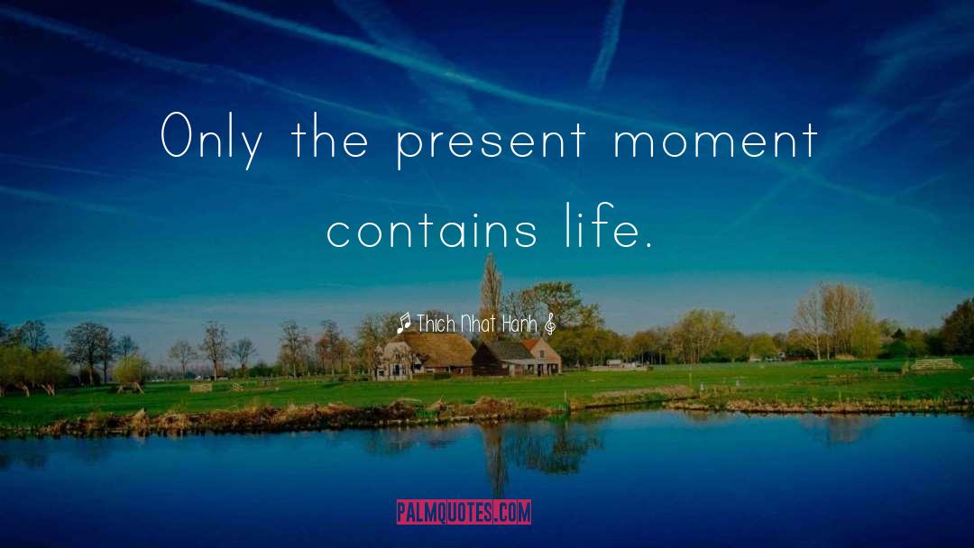 The Present Moment quotes by Thich Nhat Hanh