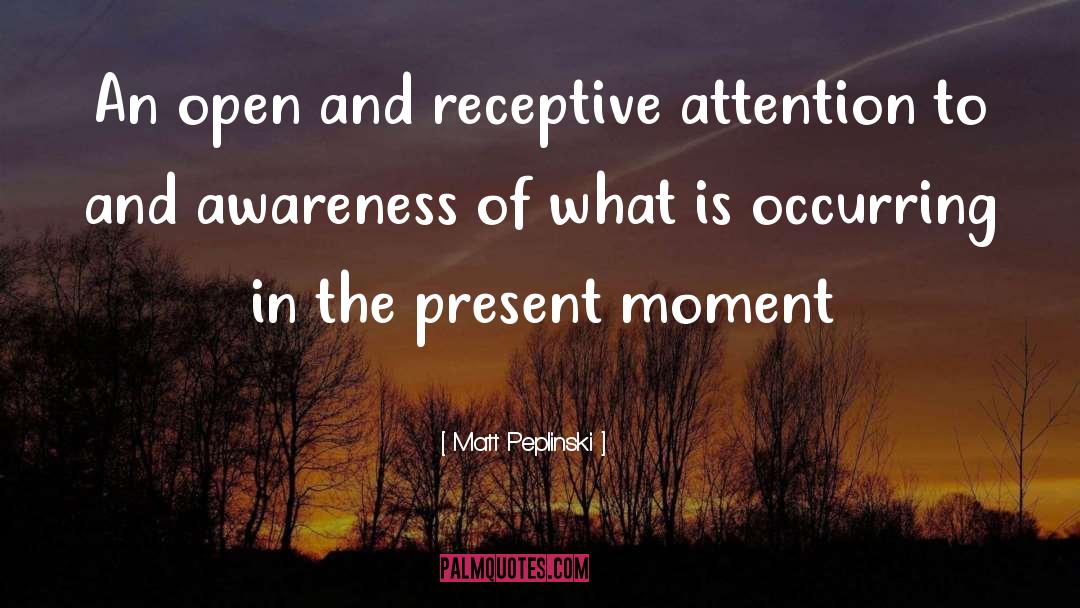 The Present Moment quotes by Matt Peplinski