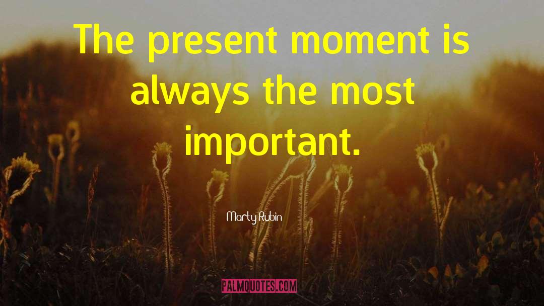 The Present Moment quotes by Marty Rubin