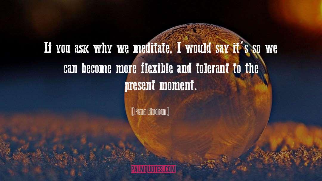 The Present Moment quotes by Pema Chodron