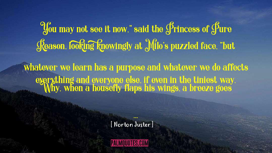 The Princess In His Bed quotes by Norton Juster