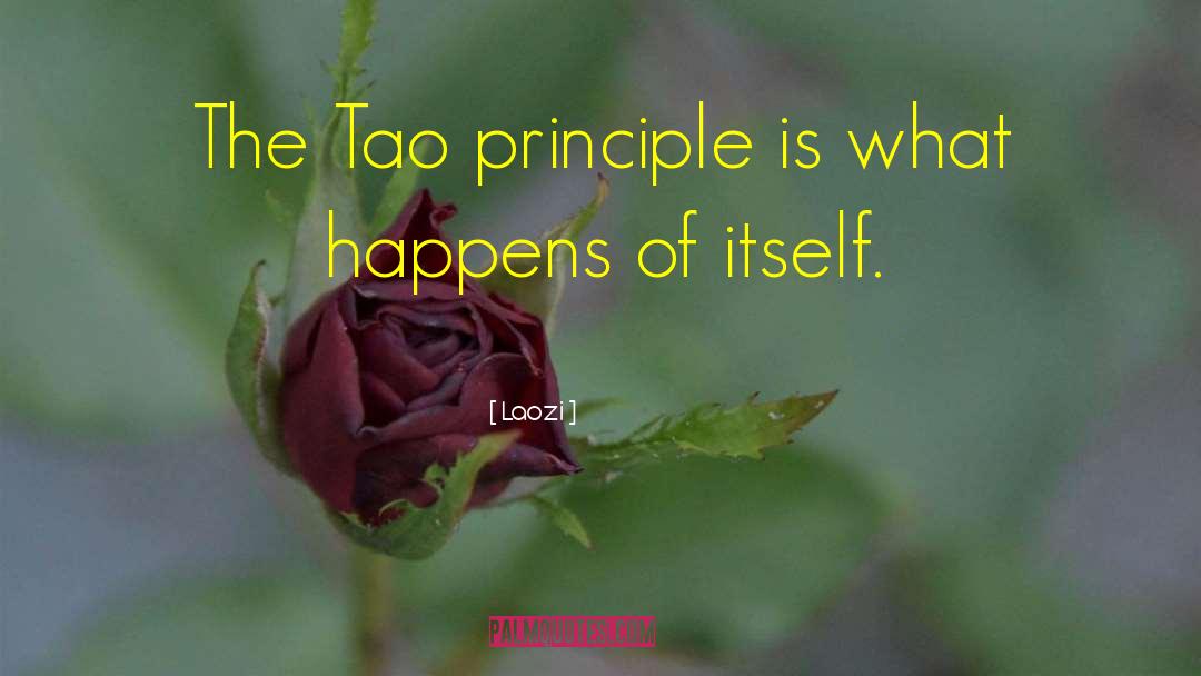 The Principles Of Punctuation quotes by Laozi