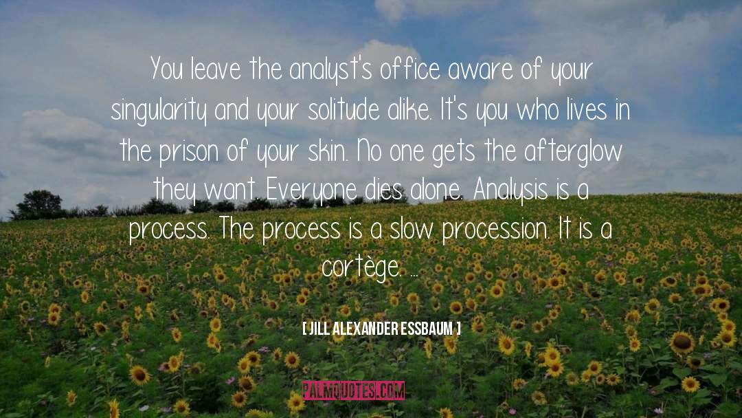 The Process quotes by Jill Alexander Essbaum