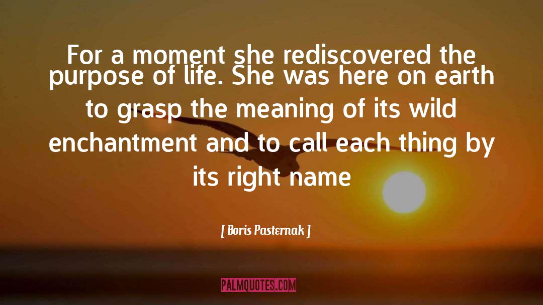 The Purpose Of Life quotes by Boris Pasternak