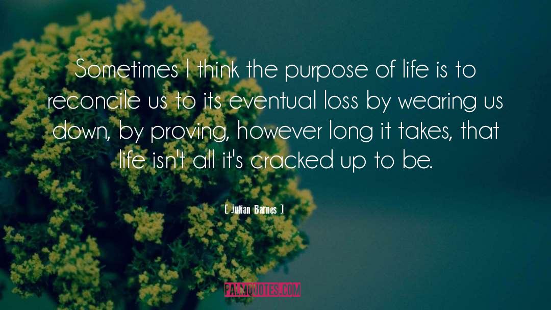 The Purpose Of Life quotes by Julian Barnes